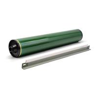 IYBYNYHN Compatible con - Long Life OPC Kit de Mantenimiento de Tambor para 7780 7550 7600 7500 9065 9070 7785 013R00664 CILINDO DE CIMINUACIÓN(DL Black Ser)