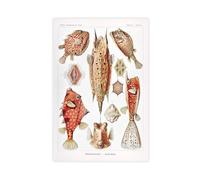 IYTAFGYT Póster en lienzo con diseño de especies de peces seleccionadas de 1907, plantas y naturaleza, decoración de dormitorio, regalo de 20 x 30 pulgadas (50 x 75 cm)