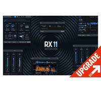 iZotope RX 11 Adv: UG from RX11 Std