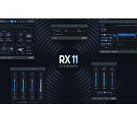 iZotope RX 11 Standard