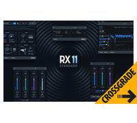 iZotope RX 11 Standard Crossgrade