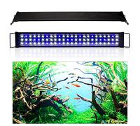 Izrielar Iluminación LED para acuario, 20 W, luz blanca y azul, con soporte ajustable, para plantas de 72.5 - 90 cm