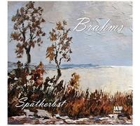 J. Brahms: SPÄTE KLAVIERWERKE --- Capriccio fis-moll op. 76,1 - Capriccio d-moll op. 116,1 - Intermezzo a-moll op. 116,2 - Capriccio g-moll op. 116,3 - Intermezzo E-Dur op. 116,4 - Intermezzo E-Dur op. 116,6 - Capriccio d-moll op. 116,7 - Intermezzo Es-Dur op. 117,1 - Intermezzo b-moll op. 117,2 -Intermezzo cis-moll op. 117,3 - Intermezzo A-Dur op. 118,2 - Intermezzo es-moll op. 118,6 - Intermezzo h-moll op. 119,1 - Mädchenlied h-moll (Bearbeitung: M. Nuber) op. 107,5 /// Michael Nuber (Pianist)