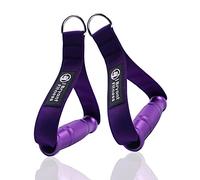 J Bryant Asas de Gimnasio de Metal para máquina de polea, aleación de Aluminio Resistente, para Bandas de Resistencia, Sistema de tracción LAT, Capa Doble púrpura