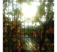 J.H. - Morning Sun - The Best Of...