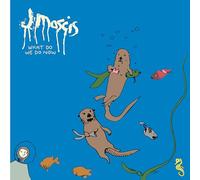 J Mascis - What We Do Now [Casete]