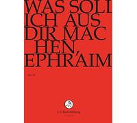J. S. BACH: Was soll ich aus Dir machen, Ephraim [DVD] [Alemania]