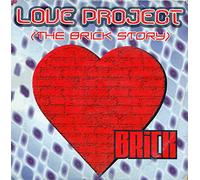 J. Schireau - The Brick Story