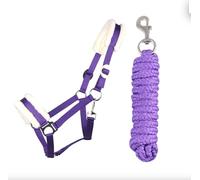JA Horse Cabestro de piel sintética con mosquetón, ajustable, caballo, caballo, caballo de madera, cuerda de amarre (lila, completo)