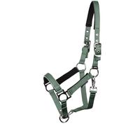 JA Horse JA4041 - Cabezal de potro Pepper - Cabestro ajustable para potro con acolchado de neopreno en cuello y nariz (verde, potro)