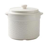 Jaamyears Tazones de sopa de cebolla blanca de 300 ml, bonita taza de sopa con asas y tapa, platos de cerámica aptos para horno