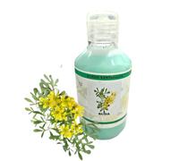 Jabón de Ruda, Gel de baño Ruda para la limpieza 250 ml, Natural Gel de BAÑO DE RUDA Quita brujería, Protección Ruda, Ruda Esoterica.