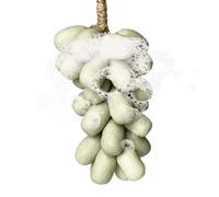 Jabón de uva, limpieza facial, fórmula aromática refrescante de 23 cm, lavado espumoso , tamaño compacto de viaje, para lavado en casa y escuela al aire libre, aromaterapia