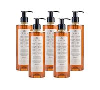 Jabón Líquido Vitalizante para Manos Prija con Extracto de Ginseng - Limpia Suavemente las Manos, Jabón Líquido Hidratante, Apto para Veganos con Fragancia Energizante, 380 ml x 5