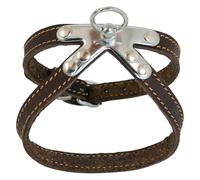 JACK AND VANILLA, Arnés de Piel, Resistente para Perros, cómodo y Ajustable, diseño Elegante, Ideal para Aventuras al Aire Libre, tamaño 10 x 35 cm, Color marrón, Modelo de Piel Gris