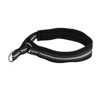 JACK AND VANILLA, Collar de Nailon Duradero para Perro, diseño Elegante y Ajustable, fácil de Limpiar, Seguridad Reforzada, 50 cm, Negro, para Todas Las Razas, Modelo al Aire Libre