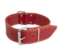 JACK AND VANILLA - Collar para Perro de Cuero Gris - Rojo - 30 mm x 50 cm | Piel grasa suave y resistente · Hebilla metálica y anillo en D firmemente fijados · Ajustable, para todas las razas