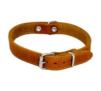 JACK AND VANILLA, Collar para Perro, Modelo Piel Negrita, Color Coñac, Tamaño 30 mm x 60 cm