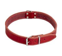 JACK AND VANILLA, Collar para Perro, Modelo Piel Negrita, Color Rojo, Tamaño 30 mm x 75 cm