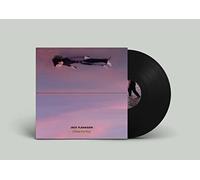 JACK FLANAGAN - RIDES THE SKY [Vinilo]