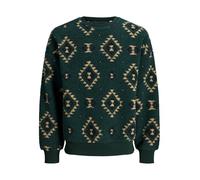 JACK & JONES Joreddie Teddy Crew Neck T25, Pine Grove, XXL para Hombre