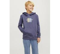 Jack & Jones Jorfrederiksberg Box Sweat Hood Sn Jnr 16A Azul