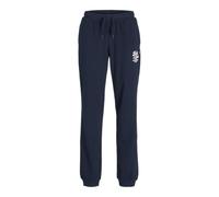 JACK & JONES Jpstelogo - Pantalones de chándal para Hombre, 25/26 Noos Jnr, Sky Captain, 12 años