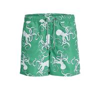 JACK&JONES PLUS JPSTFIJI JJSWIM AOP SS24 LY PLS, Green Bee, 44