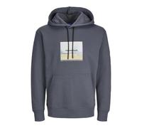 JACK & JONES Sudadera con Capucha Estampada para Hombre, Iron Gate, S