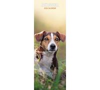 Jack Russell - Calendario delgado 2026