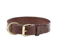 Jack & Russell Collar de Perro Peter de Cuero de Primera Calidad - Original Con Sello J&R - Búfalo Marrón (XL - Circunferencia del Cuello 46.0-56.0 cm)