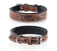 Jack & Russell Collar de perro único de cuero tallado a mano y acolchado - Collar de piel de búfalo para perros Solitaire (M/31,5-40)