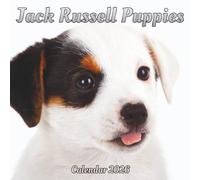 Jack Russell Puppies Calendar 2026: 12 month Organizer Jan 2026 to Dec 2026