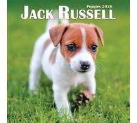 Jack Russell Puppies Mini Calendario 2026