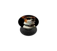 Jack Russell Terrier con Gafas de Sol Amante Jack Russells PopSockets PopGrip Adhesivo