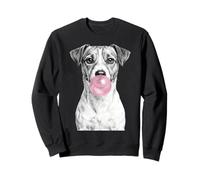 Jack Russell Terrier Perro chupando Chicle Sudadera