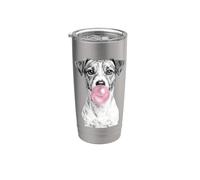 Jack Russell Terrier perro chupando chicle Vaso térmico de acero inoxidable de doble pared