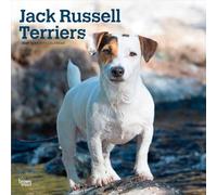 Jack Russell Terriers 2027 12 X 24 Inch (Hanging) Monthly Square Wall Calendar Plastic-Free: Original BrownTrout-Kalender [Mehrsprachig] [Kalender] ... | BrownTrout | Animals Dog Breeds)