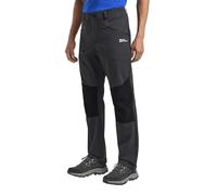 Jack Wolfskin Hiking Alpine Pants M Pantalones para Senderismo, Phantom, 46 Hombres