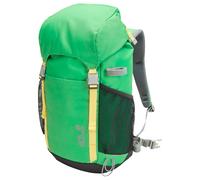 Jack Wolfskin Kids Explorer 20 - Mochila infantil 47 cm (lizard)