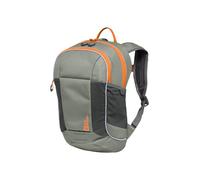 Jack Wolfskin Mochila para niños Moab Jam 36 cm verde unisex