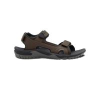 Jack Wolfskin Lakewood Cruise Sandal M, Sandalia Hombre, Cold Coffee, 44.5 EU