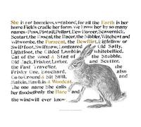 Jackie Morris Poster: Names of the Hare, The