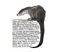Jackie Morris Poster: Names of the Otter, The