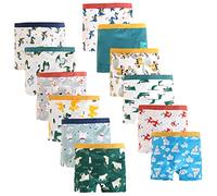JackLoveBriefs Calzoncillos Tipo BóXer para NiñOs AlgodóN Dinosaurio PatróN De Oso Polar Ropa Interior para NiñOs Paquete De 12, 5-7 AñOs, Azul, TamañO L