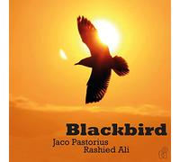 Jaco Pastorius and Ali Rashied - Blackbird (Deluxe sleeve) [180 gm LP Coloured Vinyl] [Vinilo]