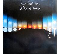 Jaco Pastorius - Word Of Mouth [Vinyl LP record] [Schallplatte] [Vinilo]
