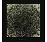 Jacob Kirkegaard & Niels Lyhne Løkkegaard - Descending [VINYL] [Vinilo]