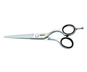 'Jaguar HS 6 28160 Gold Wing