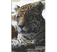 Jaguar Notebook: Unique Black Panther Jaguar Journal, Notebook for animal and big cats lovers (Graph Paper) great for kids, boys, girls, to writing ... lists, organizing and braindstorming.